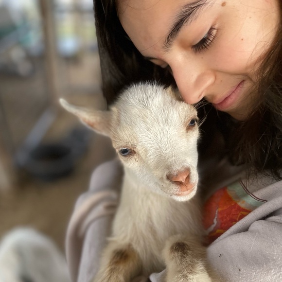 🪴Posh Live Shows ☕️@WINELOVER0626 hit like to be notified,Stay Well friends 🪴 - Picture 6 of 17